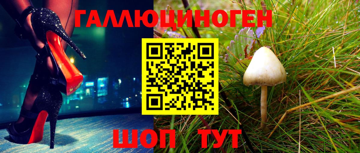 Псилоцибиновые грибы GOLDEN TEACHER  Вход с VPN  Ипатово 