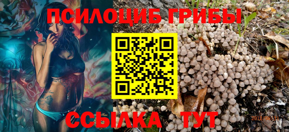 Псилоцибиновые грибы MAGIC MUSHROOMS Ипатово